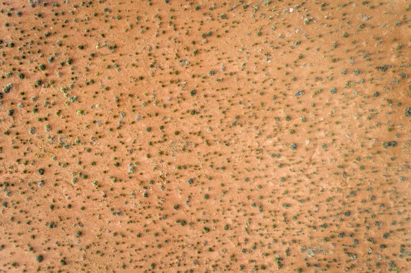 Aerial View Desert Coarse Vegetation Moab Utah — Stock Photo, Image