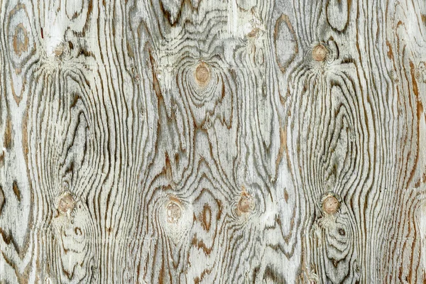 木目とノットの風化 白の塗装合板のテクスチャ — ストック写真