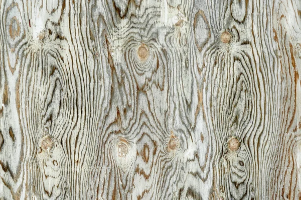 Texture Weathered White Painted Plywood Grain Patterns Knots — Stock Photo, Image