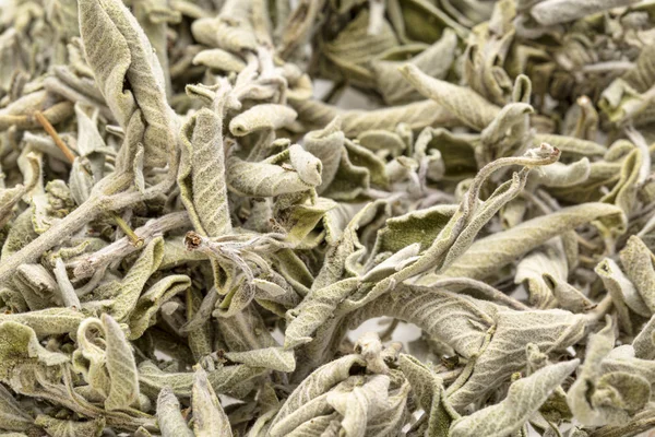 Pile Dry Greek Sage Herb Tea Fascomilo — Stock Photo, Image