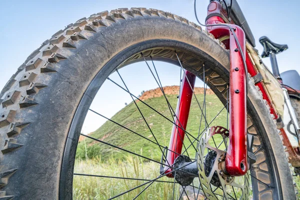 Roue Avant Gros Vélo Montagne Aux Contreforts Colorado Paysage Fin — Photo