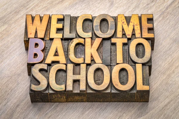 Willkommen Zurück Der Schule Wortabstrakt Holzdruckblöcken — Stockfoto