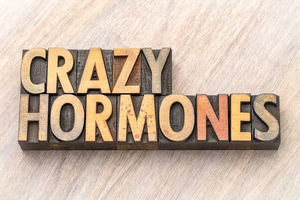 Crazy Hormones Word Abstract Vintage Letterpress Wood Type Stained Color — Stock Photo, Image