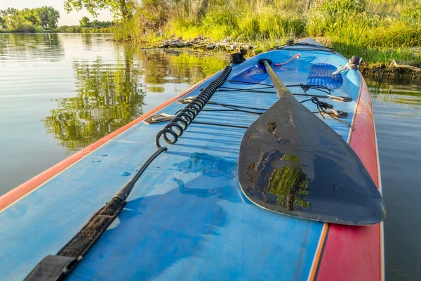 在夏日风景平静的湖面上 站起来 Paddleboard Bungies 一把桨和一把安全皮带 — 图库照片