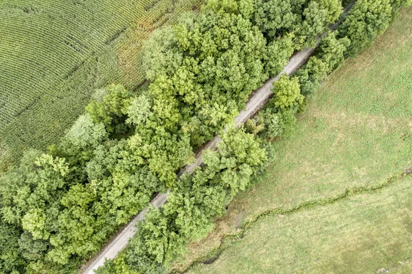 aerial view of Katy Trail near Pilot Grove, Missouri - 237 mile bike trail stretching across most of the state of Missouri converted from abandoned railroad