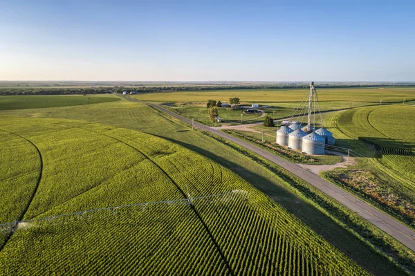 Luftaufnahme Eines Maisfeldes Mit Sprinkleranlage Silo Und Landwirtschaftlichen Gebäuden Östlichen — Stockfoto