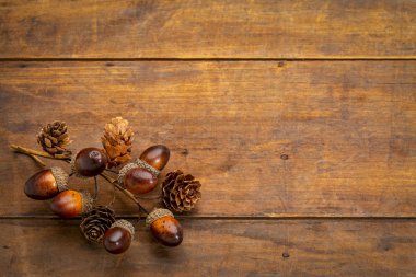 rustik yıpranmış ahşap arka plan meşe palamutları ve koniler ile sonbahar dekorasyon