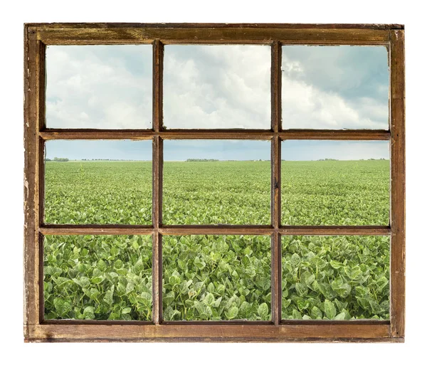 从老式窗扇机舱窗口看有风暴云的绿色大豆种植场 — 图库照片