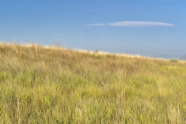 Prairie Colorado Foten Mitt Sommaren — Stockfoto