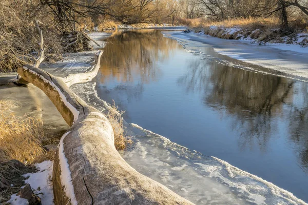 Река Каше Пуэбл Тиманте Ниже Форт Коллинза Зимние Пейзажи Льдом — стоковое фото