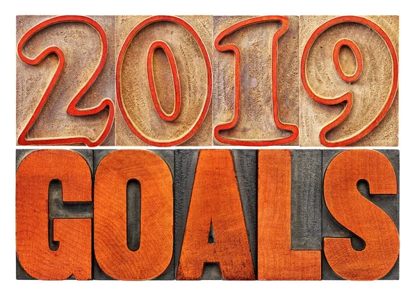 2019 Mål Banner Nytt Resolution Koncept Isolerade Text Vintage Boktryck — Stockfoto