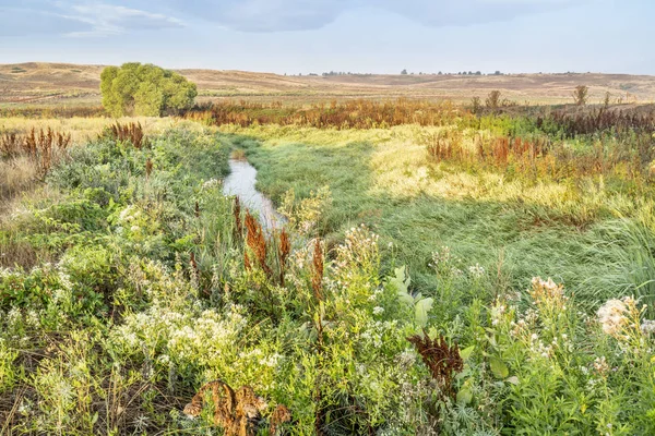 Bewässerungsgraben Eaton Graben Nördlichen Colorado Spätsommerliche Landschaft — Stockfoto