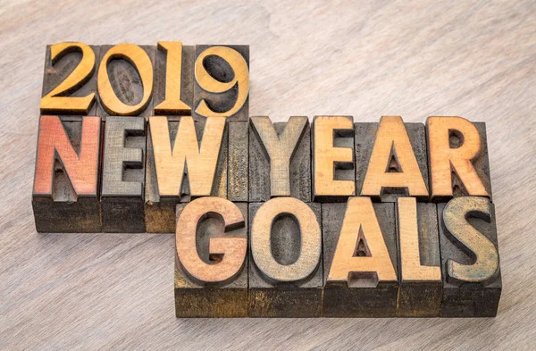 2019 New Year Goals Word Abstract Vintage Letterpress Wood Type — Stock Photo, Image