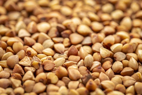 Background Texture Roasted Buckwheat Kasha Gluten Free Grain Selective Focus — Stock Photo, Image