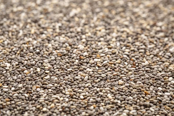 有機黒チア種子の豊富なオメガ 脂肪酸は 選択と集中の背景 — ストック写真