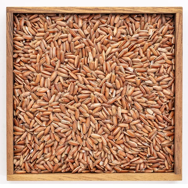 Hnědá Rýže Zrna Izolované Dřevěné Krabičce — Stock fotografie