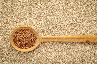 gluten ücretsiz kahverengi teff tahıl üzerinde bir tahta kaşık arka planını Fildişi teff - Etiyopya ve Eritre önemli gıda tahıl karşı