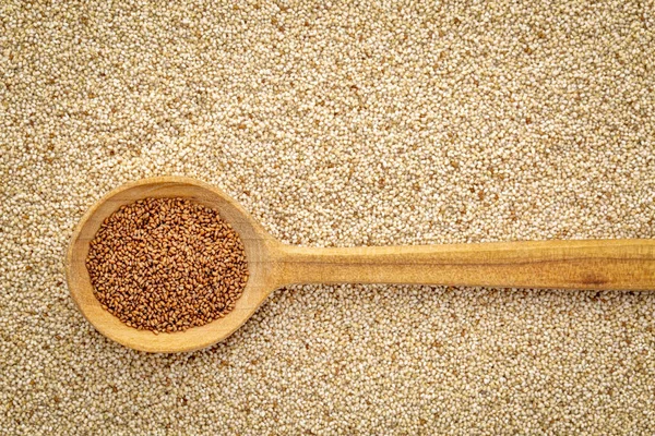 Gluten Vrije Bruine Teff Graan Een Houten Lepel Tegen Achtergrond — Stockfoto