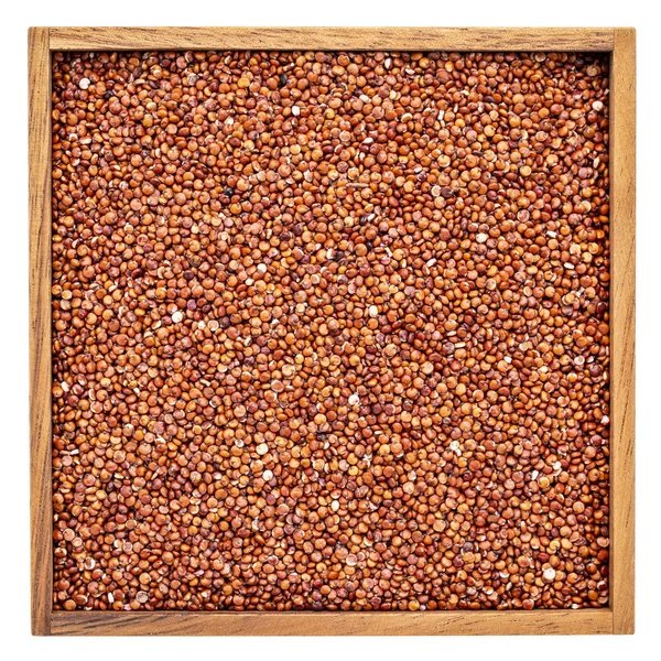 Grano Quinoa Rosso Senza Glutine Una Scatola Legno Quadrata Isolata — Foto Stock