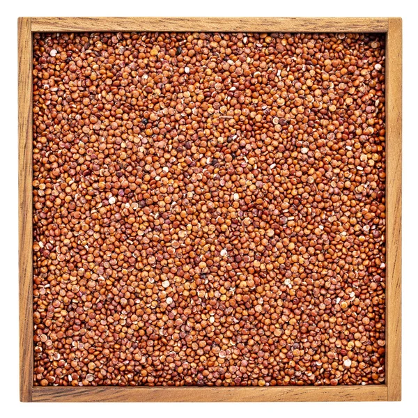 Glutenu Bezpłatny Czerwony Quinoa Ziarna Kwadrat Drewniane Pudełko Białym Tle — Zdjęcie stockowe