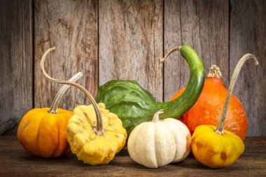 Kış kabak ve rustik ahşap karşı-süs su kabakları sonbahar tatil dekorasyon