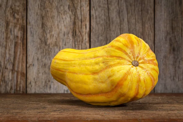 Delicata Squash Inverno Contra Madeira Rústica Outono Feriados Decoração — Fotografia de Stock