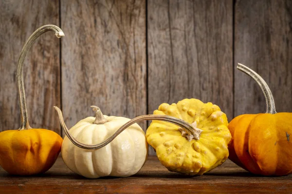 Decoratieve Kalebassen Tegen Rustiek Hout Herfst Vakantie Decoratie — Stockfoto