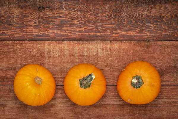 Tres Como Calabazas Ornamentales Calabazas Tablero Madera Rústica Con Espacio —  Fotos de Stock