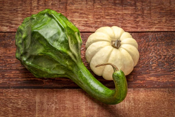 Groene Dinosaurus Squash Witte Pompoen Tegen Rustieke Schuur Hout Vallen — Stockfoto