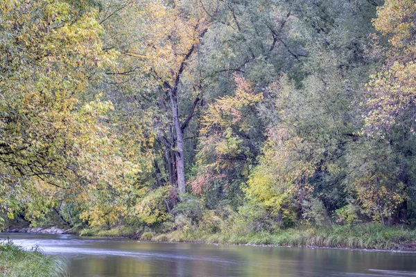 Giornata Pioggia Sul Fiume Poudre Colorado Con Arazzo Colori Autunnali — Foto Stock