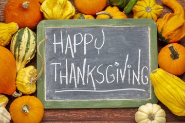 Şükran günün kutlu olsun - kış kabak ve su kabakları çevrili arduvaz bir kara tahta üzerinde beyaz tebeşir el yazısı