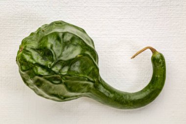 Beyaz Sanat tuval - sonbahar tatil dekorasyon üzerine yeşil dinozor squash