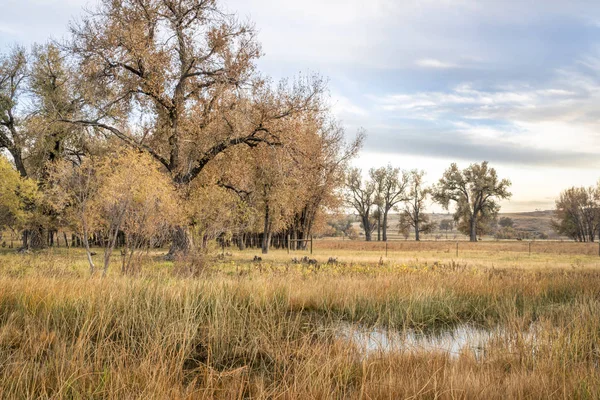 Landskap Det Nordlige Colorado Langs Poudre River Oktober Landskapet – stockfoto