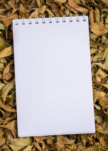 Livro Esboços Espiral Branco Contra Fundo Folhas Queda Seca — Fotografia de Stock