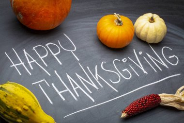 Mutlu Şükran günü tebrik kartı - beyaz tebeşir el yazısı bir kabak, kabak ve Mısır ile kayrak bir kara tahta üzerinde