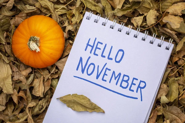 你好11月手写在一本艺术速写与南瓜葫芦反对干燥的叶子 — 图库照片