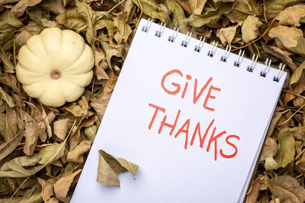 Give Thanks Phrase Handwriting Art Sketchbook Gourds Dry Leaveswinter Squash — Stock Photo, Image