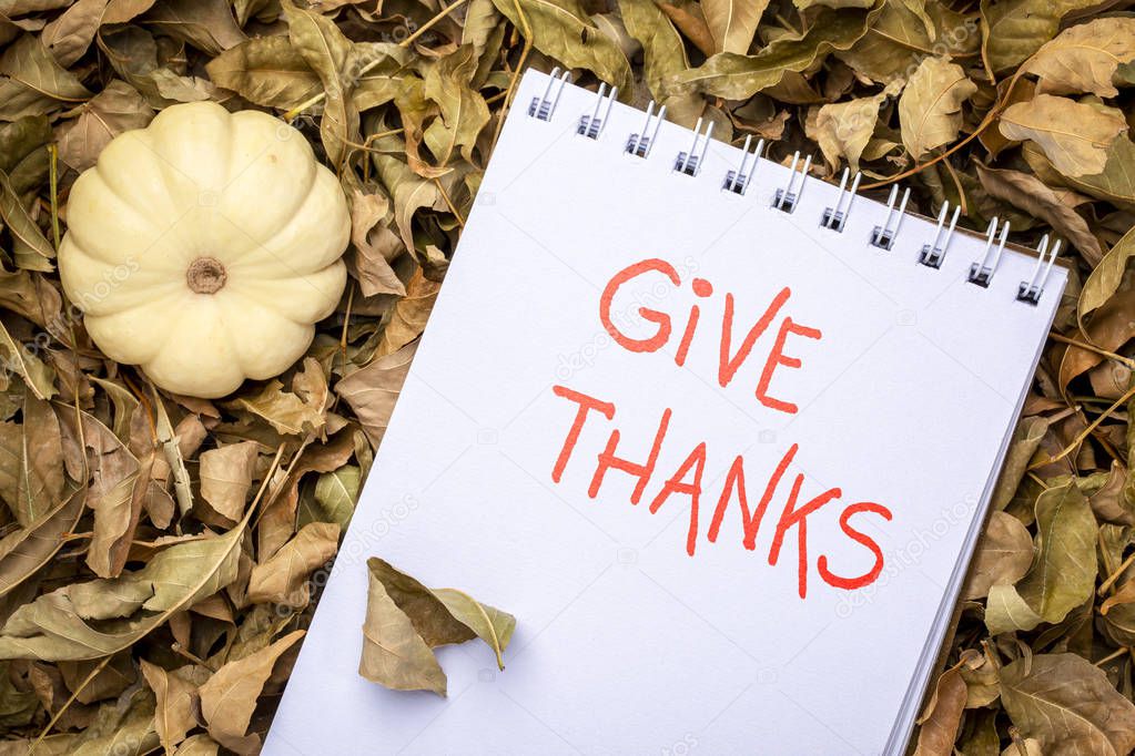 give thanks phrase - handwriting in an art sketchbook with a gourds against dry leaveswinter squash and gourds