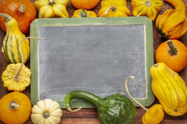 boş kayrak yazı tahtası beyaz tebeşir, kış kabağı ve kabak - Halloween veya Şükran Tema