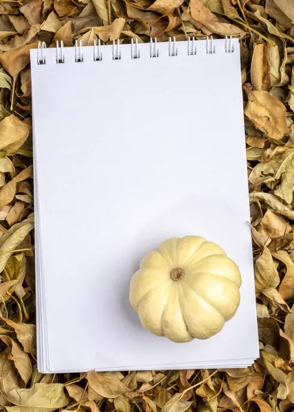 Cuaderno Bocetos Espiral Blanco Con Calabaza Ornamental Contra Hojas Secas —  Fotos de Stock