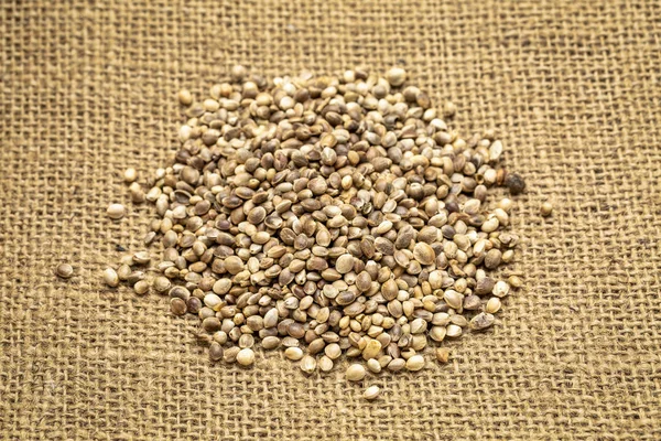 Pilr Organic Dried Hemp Seeds Burlap Canvas — Stock Photo, Image
