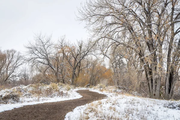 Fort Collins Colorado Poudre Nehri Boyunca Doğal Bölgelerinde Sonbahar Kış — Stok fotoğraf