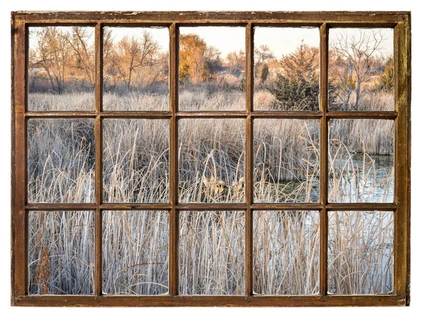 Décors Automne Dans Les Zones Humides Nord Colorado Vus Depuis — Photo