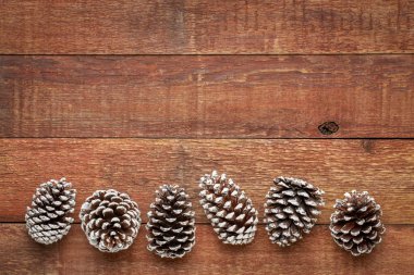 Dekoratif, buz gibi beyaz boyalı, çam kozalakları yıpranmış ahır Wood ile kopya alanı satırı