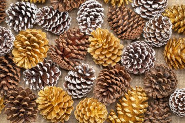 arka plan dekoratif kozalaklar - doğal, altın ve soğuk beyaz boyalı