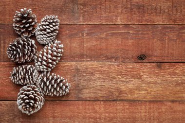 Dekoratif, buz gibi beyaz boyalı, çam kozalakları yıpranmış ahır Wood bir kopya alanı ile