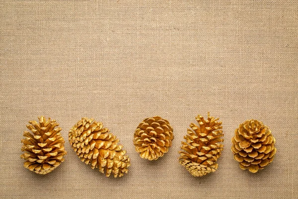 Rij Van Decoratieve Goud Geschilderd Dennenappels Een Jute Doek Met — Stockfoto