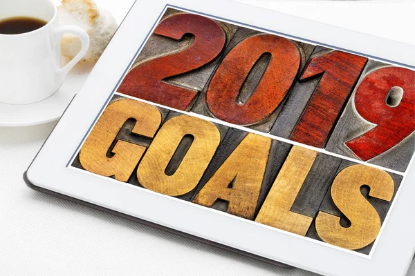 2019 Goals Banner Text Vintage Letterpress Wood Type Digital Tbalet — Stock Photo, Image