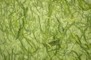 tıknaz kozo enginar yeşil dut Kağıt arka plan