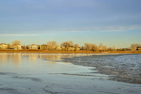 Freezing Lake Sunset Houses Waterfront Seagulls Ice Boyd Lake Northern — Stock Photo, Image